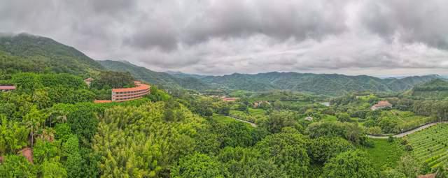 赢博体育app：赢博体育官网入口：茗茶远离城市的喧嚣在青山绿水间尽情放松身心享受自然(图9)