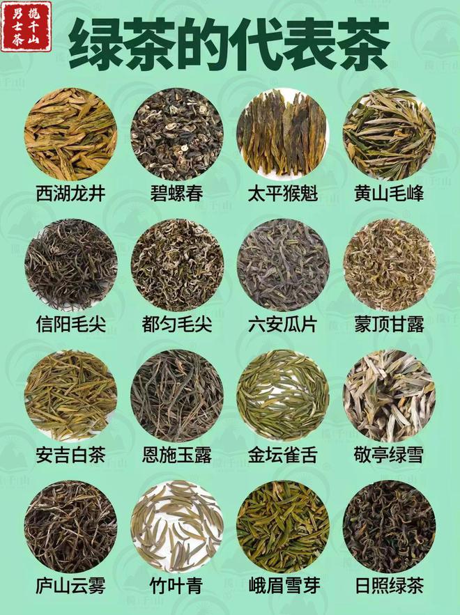 赢博体育：中国六大茶类的代表茶你喝过几种？(图3)