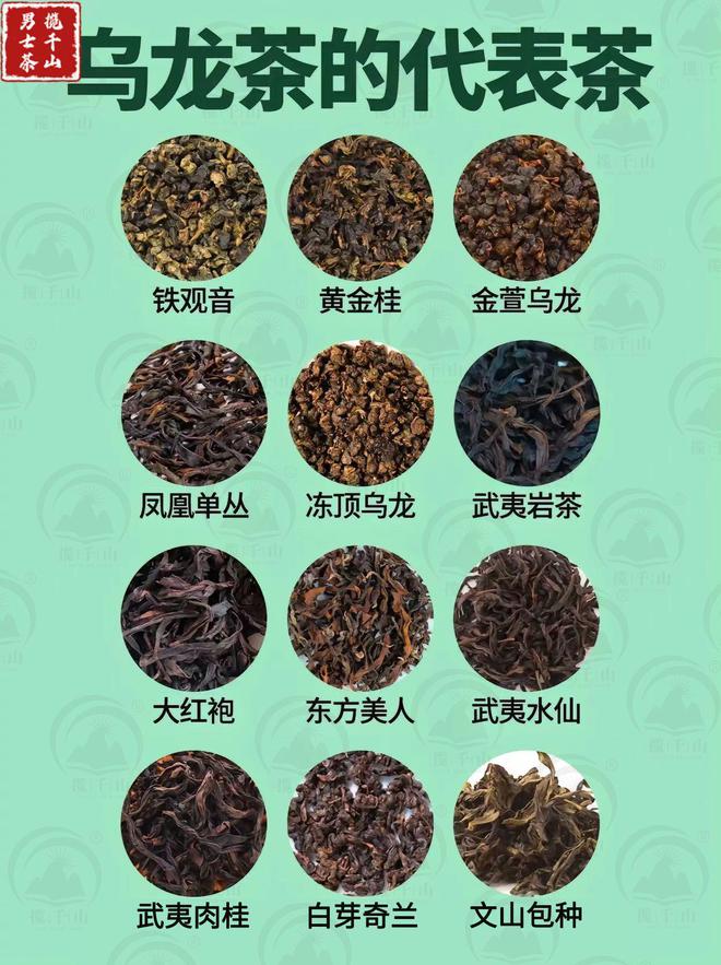 赢博体育：中国六大茶类的代表茶你喝过几种？(图4)