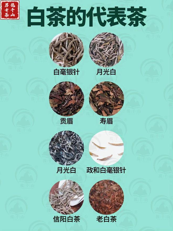 赢博体育：中国六大茶类的代表茶你喝过几种？(图5)