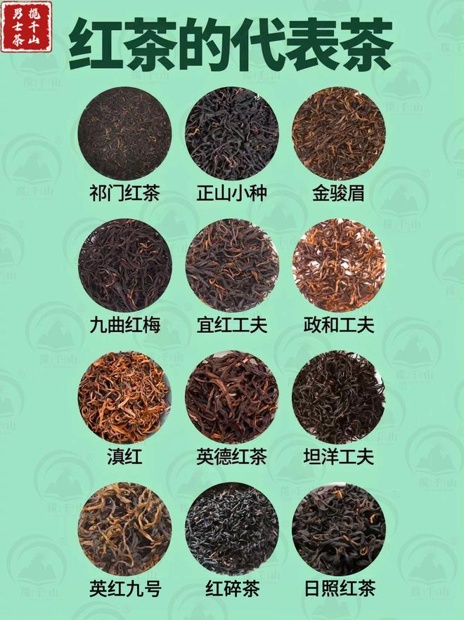 赢博体育：中国六大茶类的代表茶你喝过几种？(图6)