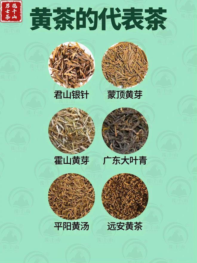 赢博体育：中国六大茶类的代表茶你喝过几种？(图7)