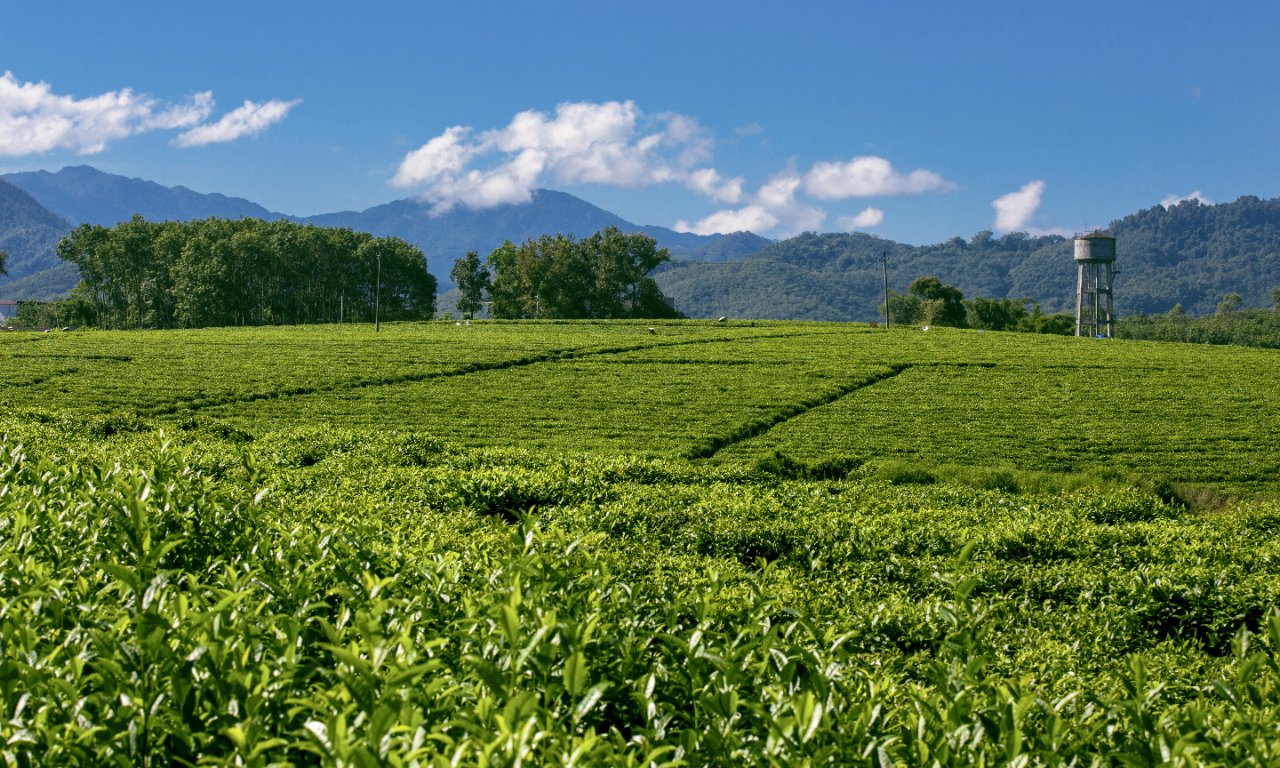 赢博体育官网入口：“茶叶2两、包装2斤”……过度包装何时休！