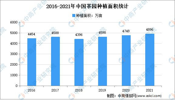 赢博体育官网入口：赢博体育app：2022年中国茶产业链上中下游市场分析(图2)