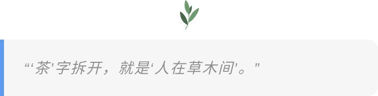 赢博体育官网入口：赢博体育app：镜观·领航｜听习“以茶论道”(图10)