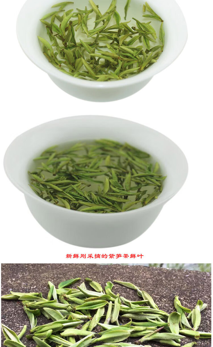 赢博体育官网入口：赢博体育app：茶叶的功效与作用