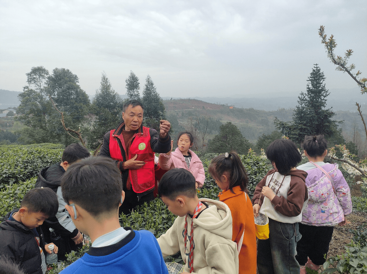 赢博体育app：赢博体育官网入口：四川眉山市丹棱锁江社区社工站开展茶农授茶艺主题活动(图2)