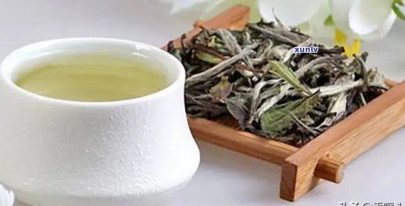 赢博体育：精选茗茶是什么品种-精选茗茶是什么品种的茶叶(图8)