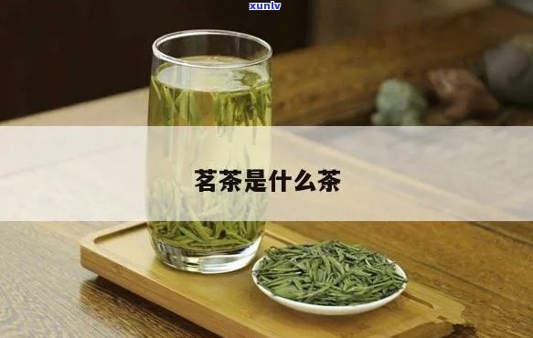 赢博体育：精选茗茶是什么品种-精选茗茶是什么品种的茶叶(图10)