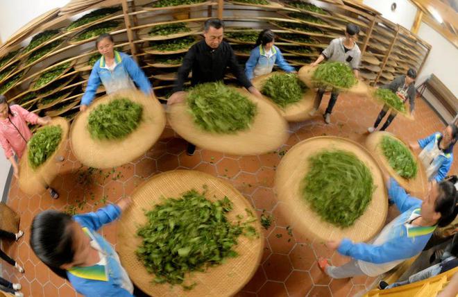 赢博体育app：赢博体育：向世界敬一杯“武夷茶”汉学家赞称茶是中华文明的圣物(图3)