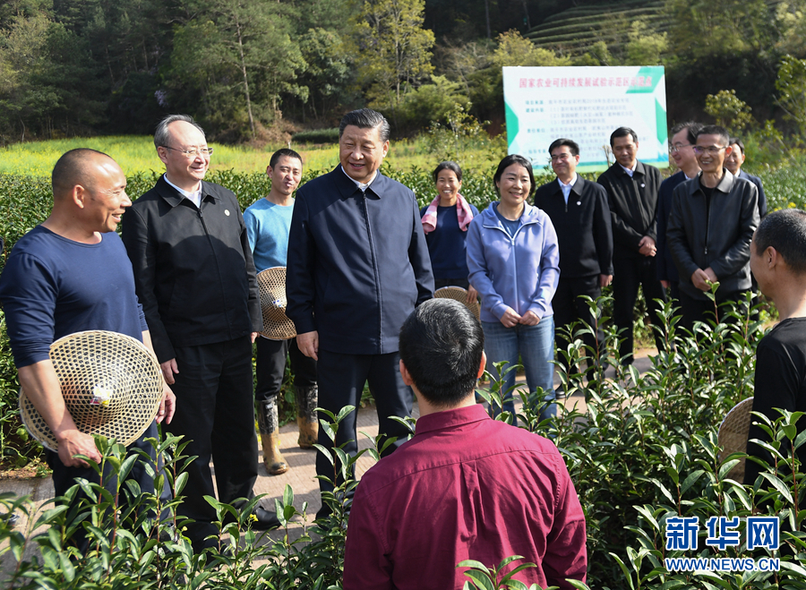 赢博体育官网入口：赢博体育：学习进行时丨习的“茶之道”(图2)