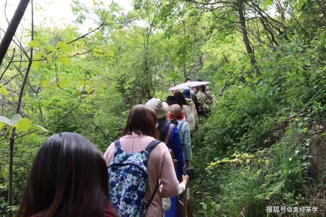 赢博体育：大学生学习茶艺热潮方兴未艾(图2)