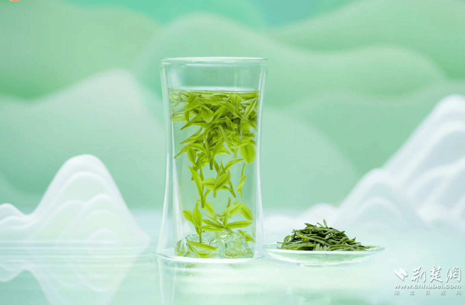 赢博体育app：赢博体育：大悟茶产业②丨小茶叶托起乡村振兴“大产业”(图4)