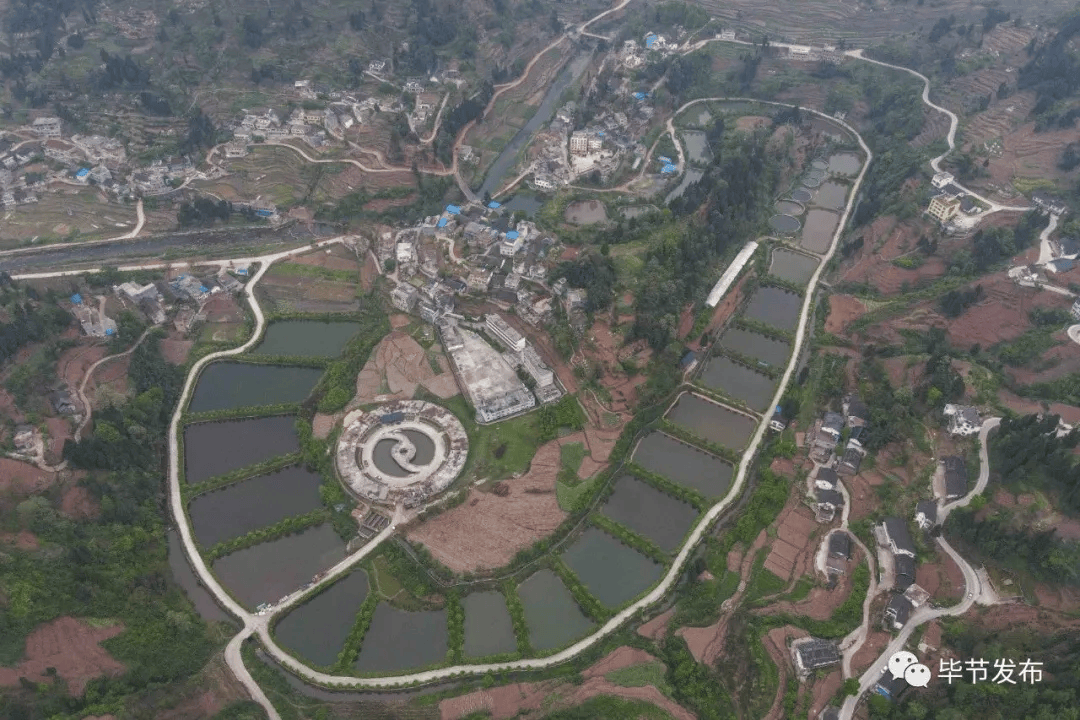 赢博体育app：赢博体育：乌蒙绿浪涌 深山茶韵新 毕节市茶产业发展综述(图1)