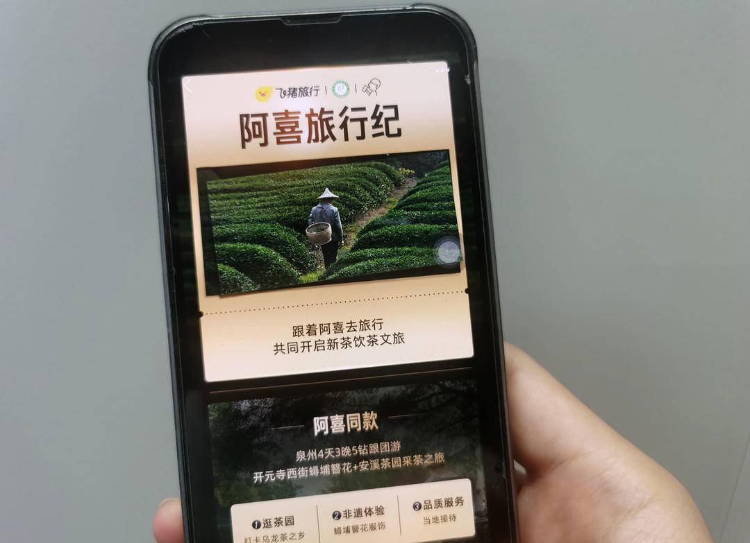 赢博体育官网入口：赢博体育app：采茶炒茶、研习非遗茶艺飞猪喜茶跨界牵手上线“茶旅团”(图2)